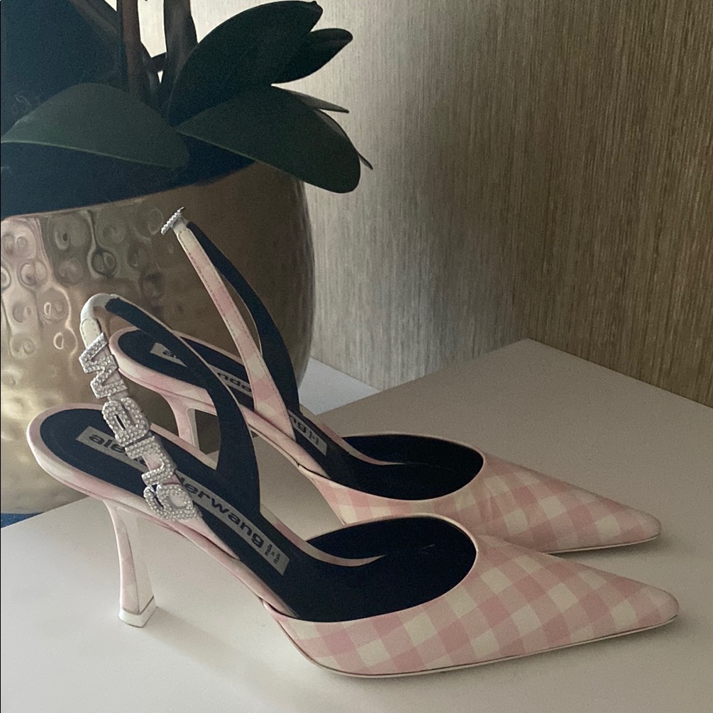 Alexander Wang Pink Heels With Clear Heel